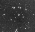 Hviezdokopa M44 'Jasličky'